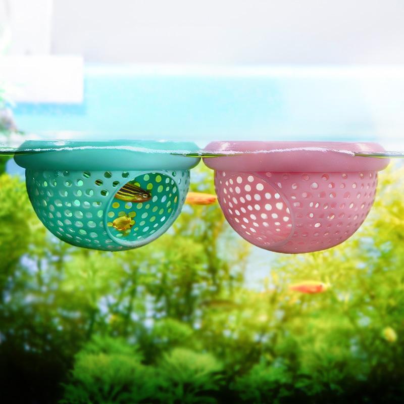 Aquarium Hammock for Betta and - Aquatic Zone 리뷰 및 가격